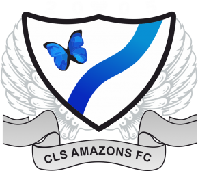 Chester-le-Street Amazons FC badge